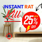 Instant Rat Killer Bait (40g) | Professional Rodent Control