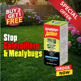 Rootout Sharp Action Special Offer: Buy 2 Get 1 FREE (Limited Time)