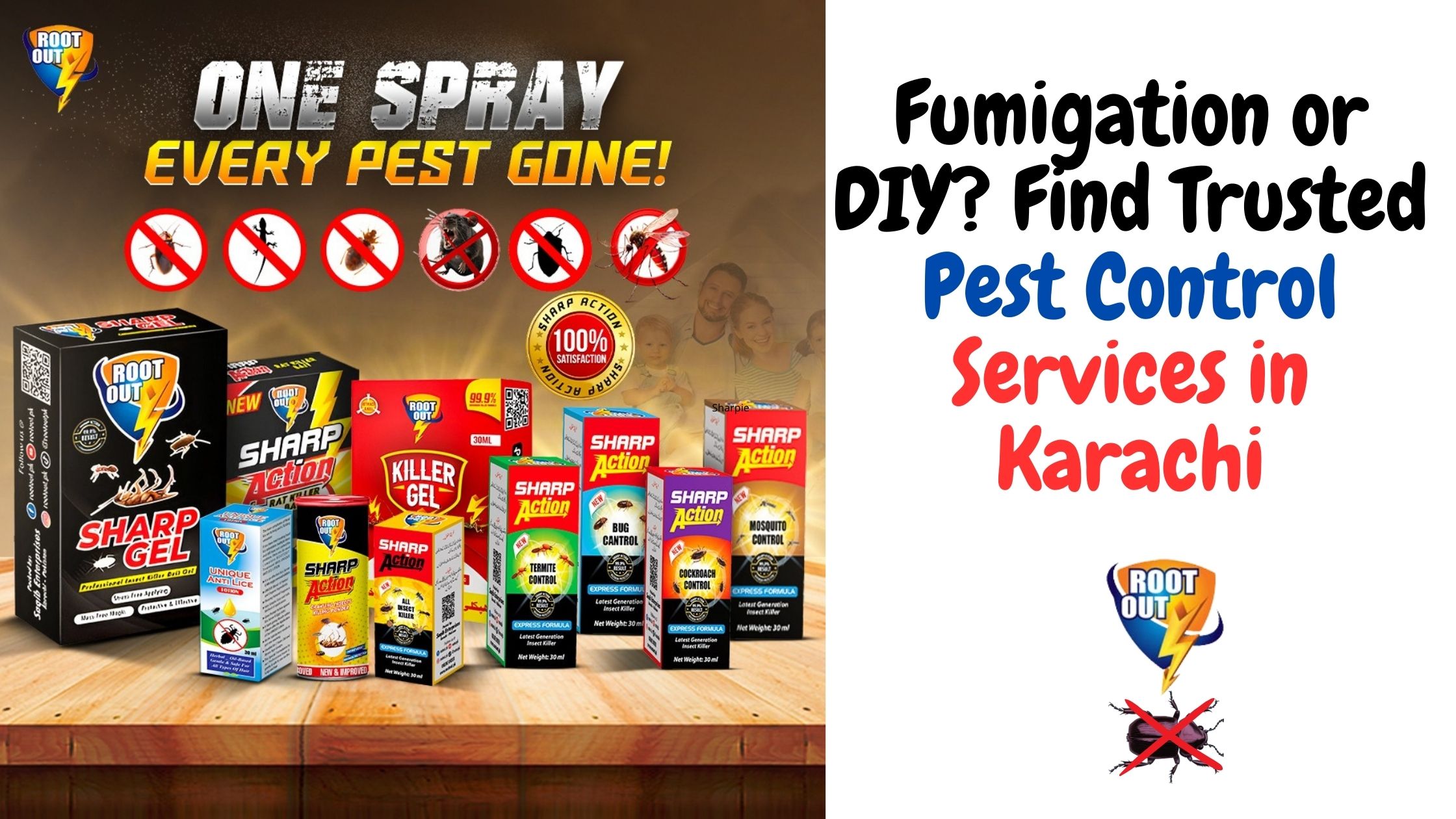 Fumigation or DIY Find Trusted Pest Control Services in Karachi
