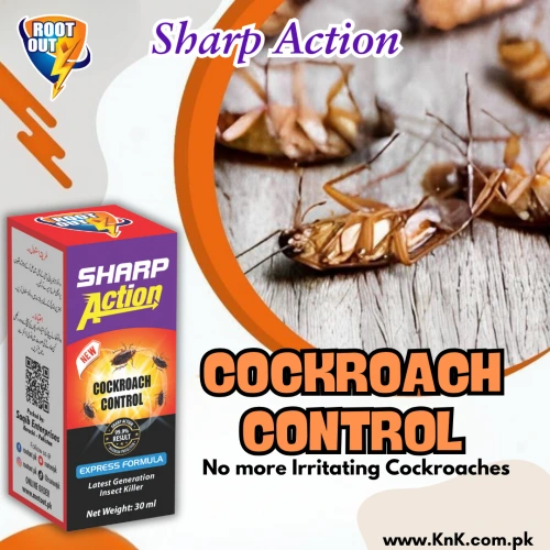 9_20241223_163628_0003-500x500